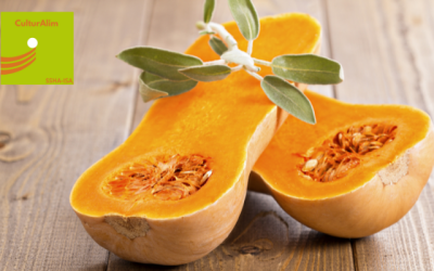 Recette végétarienne de fêtes : Butternut farcie aux champignons