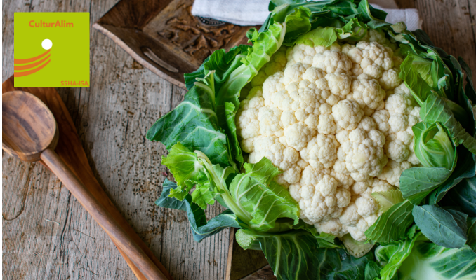 Recette de saison : 3 recettes à bases de chou-fleur