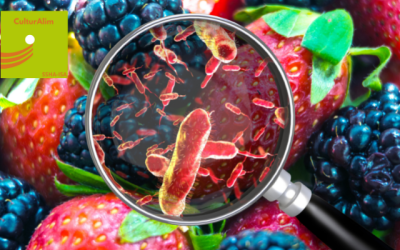 Le saviez-vous ? E. Coli, Salmonelle et Listéria