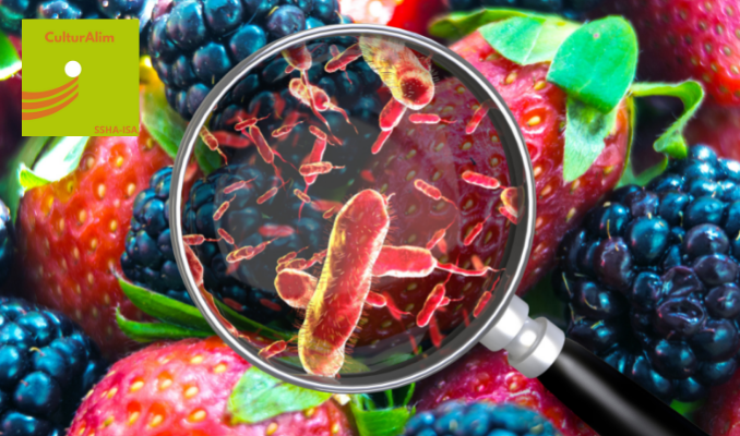 Le saviez-vous ? E. Coli, Salmonelle et Listéria