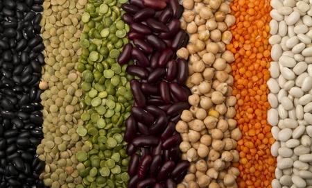 Diversification des Sources de Protéines Alimentaires dans la Restauration Collective : Nouvelles mesures depuis le 1er janvier 2024