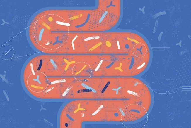 Microbiote et santé mentale