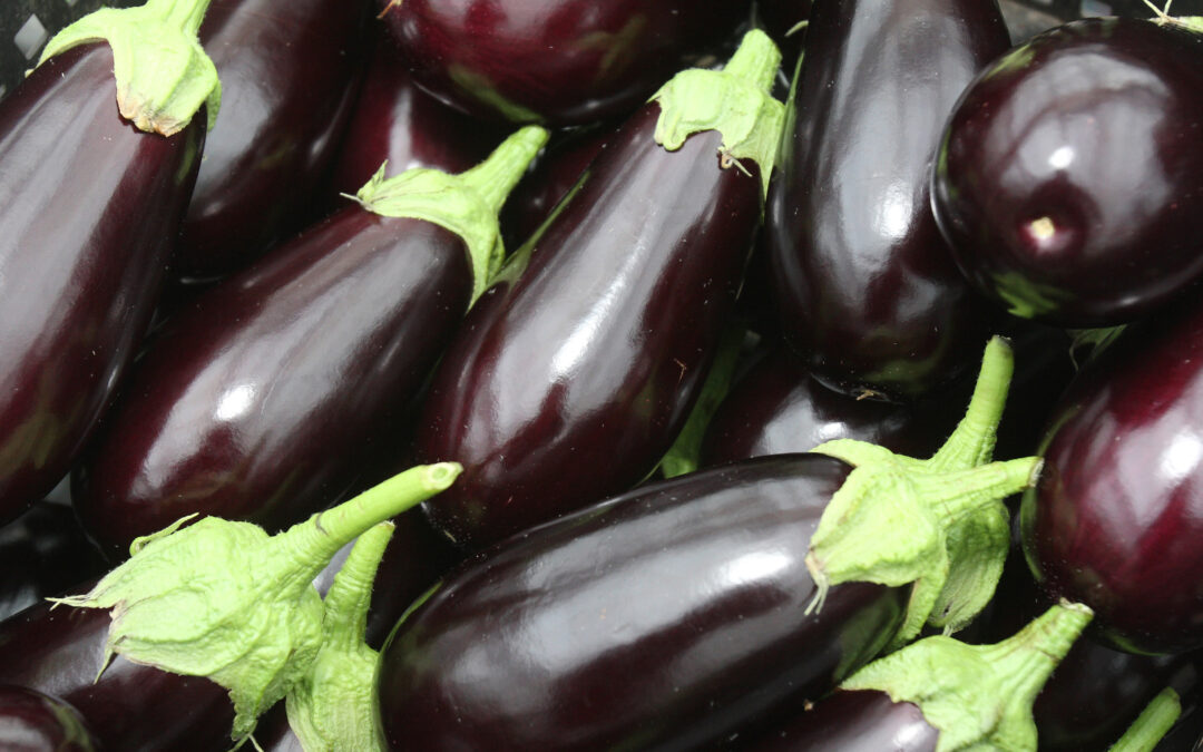 Recette de saison : Parmigiana d&rsquo;aubergine